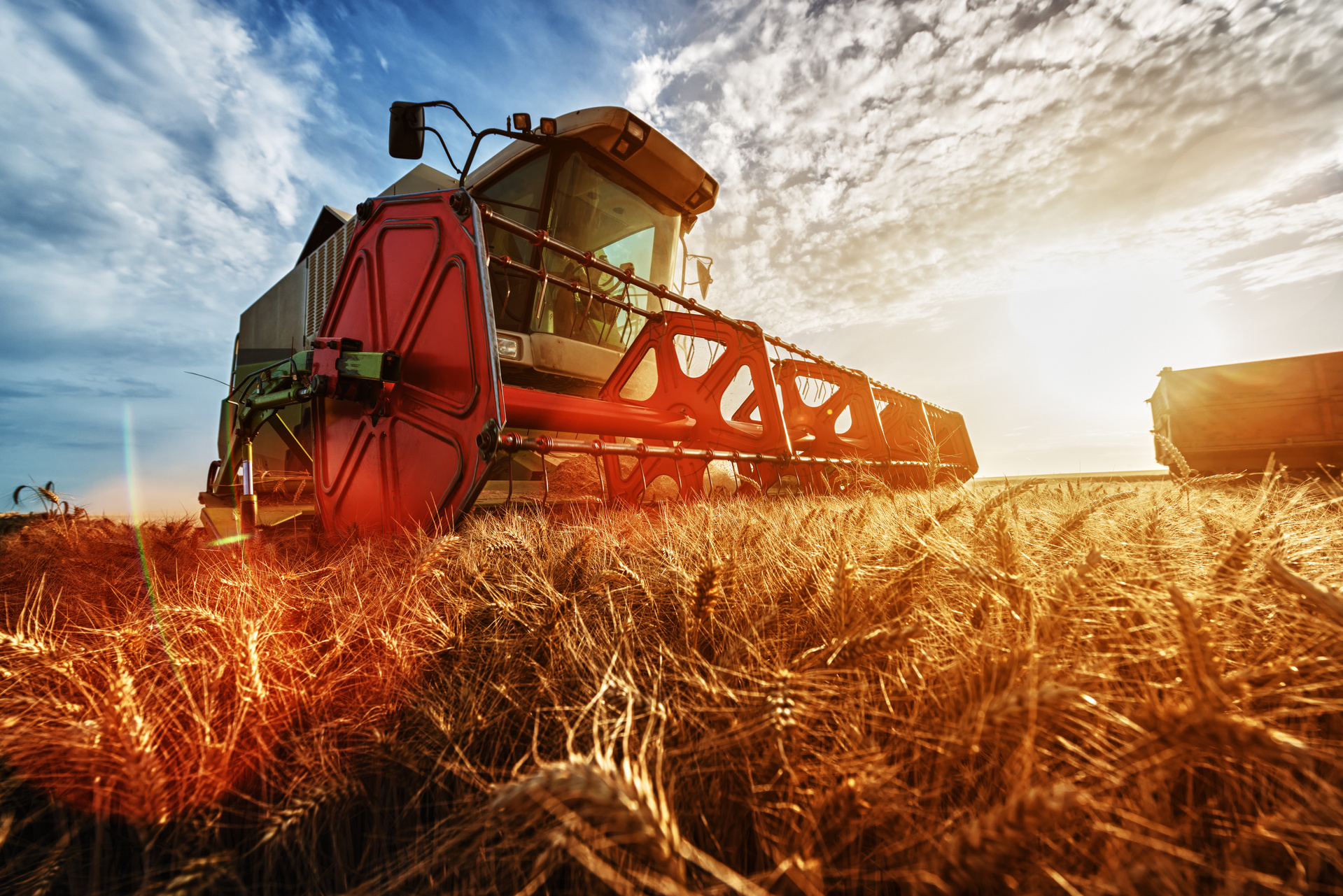 SOLUÇÕES DA CCS PARA O AGRONEGÓCIO