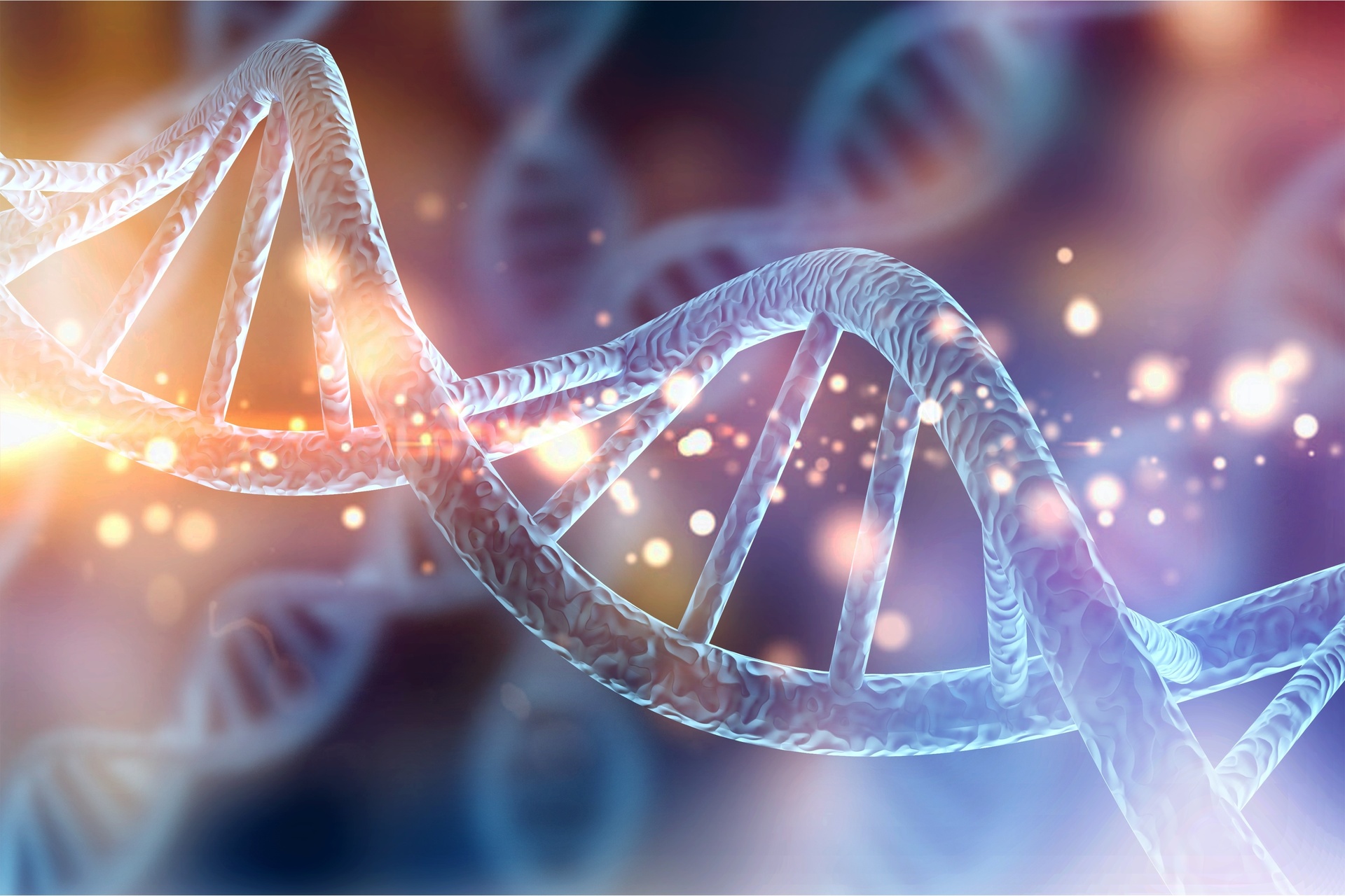 DNA DA CCS: O PROPÓSITO QUE NOS IDENTIFICA